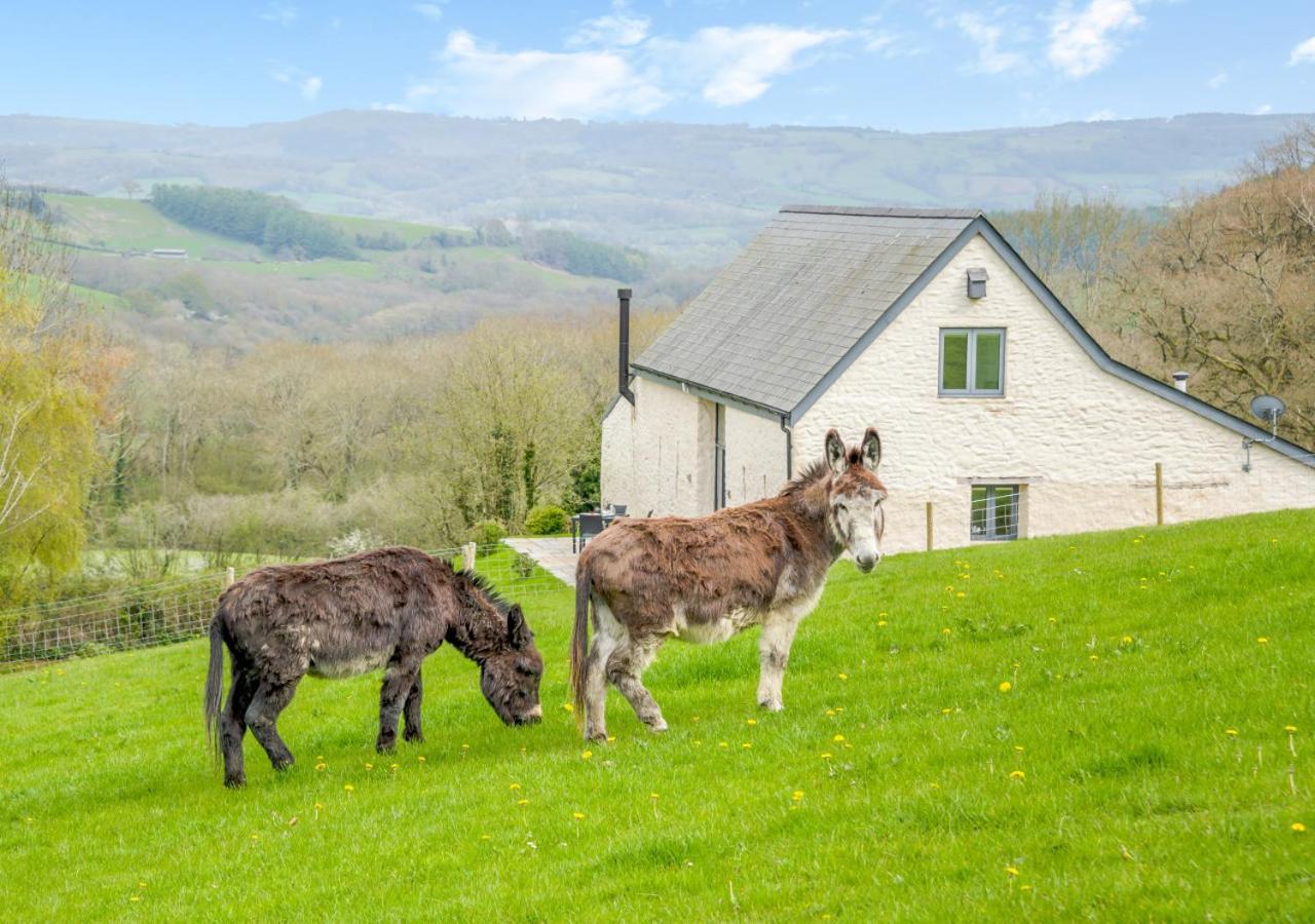 Usk Barn Apartamento Llanbadoc Exterior foto